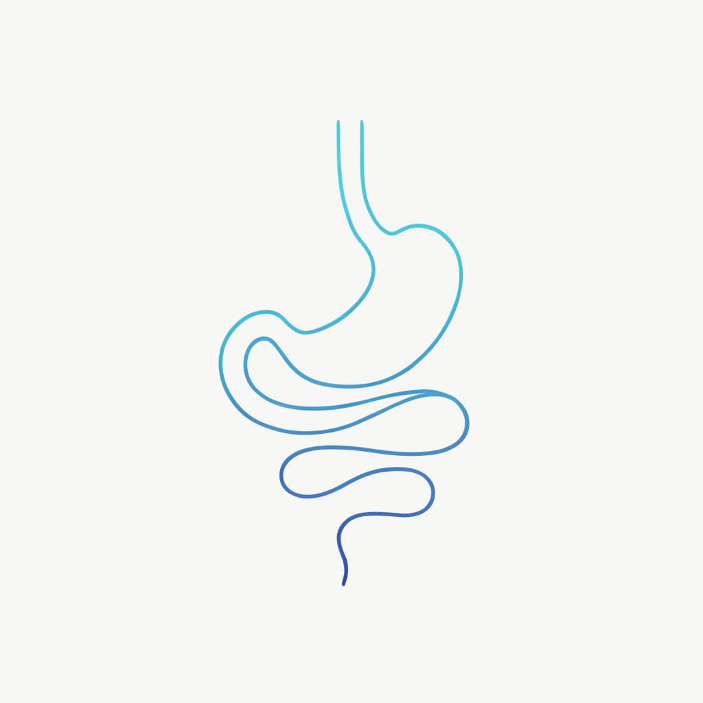 Gut & digestion